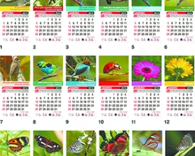 Os minicalendários da fotógrafa Ana Claudia Gadini