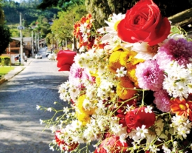 Um festival especial para saudar a primavera em São Pedro da Serra
