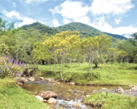 Semana Mundial  do Meio Ambiente