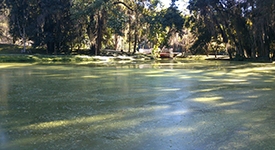 Lago do Country Clube congelado