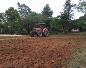 Meio ambiente: Friburgo adere à agricultura sintrópica