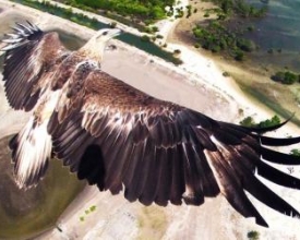 Cinco questões sobre o 'jornalismo-drone'