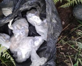 PM apreende drogas vindas de favela na Chácara do Paraíso