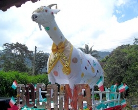 Carnaval de tirar o chapéu ainda repercute positivamente