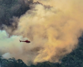 Dez fotos marcantes das queimadas em Nova Friburgo