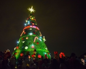História e significado da árvore de Natal