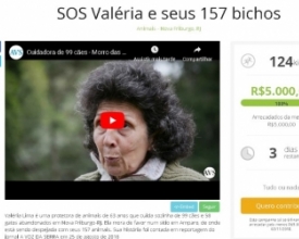 Vaquinha online arrecada R$ 5 mil para abrigo com 157 animais