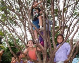 Escola Comunitária Vale de Luz é referência de ensino e criatividade