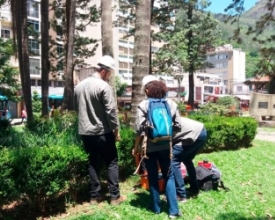 Equipes da Universidade Rural prosseguem estudo das árvores da praça