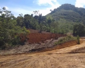 PM flagra desmatamento na APA de Macaé de Cima