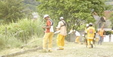 Mutirão de obras e limpeza vai mudando a cara da cidade