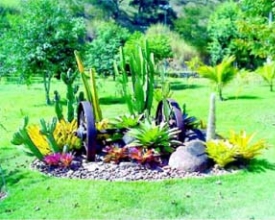 A beleza e a harmonia dos jardins - 25 de abril