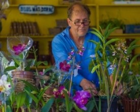 Orquídeas exóticas estão expostas em horto de Mury até esta quinta