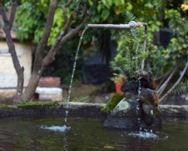 Raio X do turismo: Parque Juarez Frotté é um refúgio bem cuidado