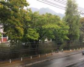 Friburgo volta a ter chuva após quase 2 meses de estiagem