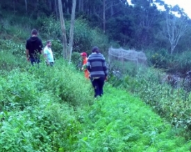 Meio ambiente: Friburgo é pioneira em agricultura orgânica