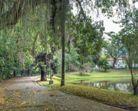 ​Inverno chega ao fim enchendo de charme a paisagem friburguense