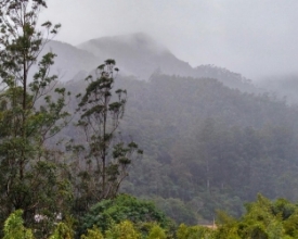 Onda de frio intenso só deve dar trégua nesta quinta