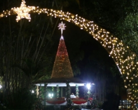 Prefeitura gastará R$ 273 mil com montagem de árvores de Natal