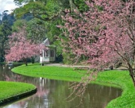 Nova Friburgo entre as cinco cidades turísticas mais frias do Brasil