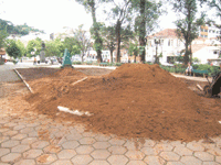 Jardins da Getúlio Vargas estão sendo remodelados