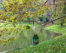 Paisagem friburguense ganha destaque durante o outono