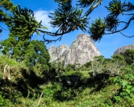 Parque Estadual dos Três Picos completa 15 anos