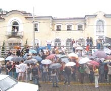 Extermínio de cães leva populares a protestar em frente à Prefeitura