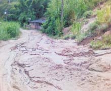 Estrada da Fazenda Branca: um caminho de dificuldades