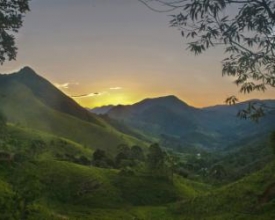 Oficinas, palestras e corrida na Semana do Meio Ambiente 