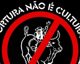 Câmara tem protesto às 17h30 desta terça contra rodeios em Friburgo