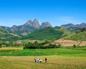 Dia Municipal do Jovem Agricultor é comemorado em Salinas