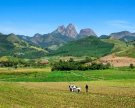 Agricultura familiar:‭ ‬chamada pública termina segunda-feira