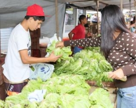 Solidariedade em toneladas de alimentos