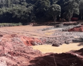 UPAm flagra desmatamento irregular em Macuco