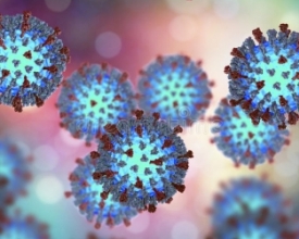 Friburgo tem novo Dia D contra sarampo e pólio neste sábado