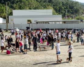 Via Expressa terá “cãominhada” no próximo domingo