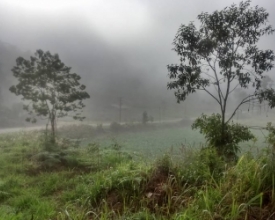 Após queda brusca de temperatura, Era do Gelo deve continuar