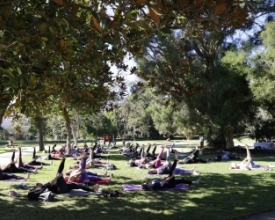 Yoga Day leva centenas aos jardins do Country neste 1º sábado do inverno